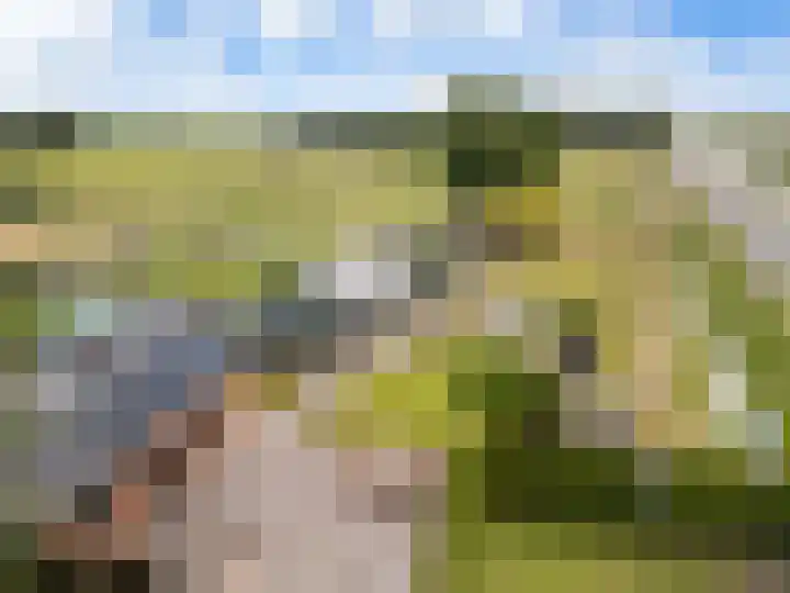 Nieuw-Amsterdamseweg 20 Schoonebeek thumbnail 47