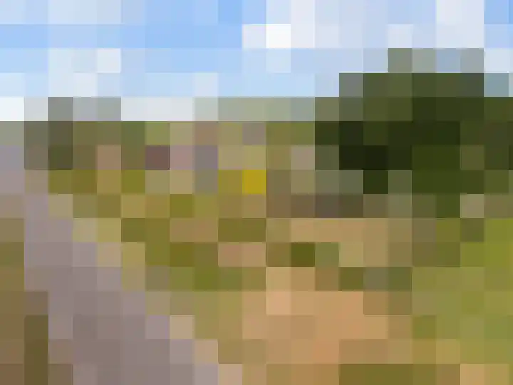 Nieuw-Amsterdamseweg 20 Schoonebeek thumbnail 48