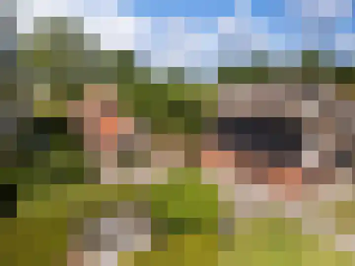 Nieuw-Amsterdamseweg 20 Schoonebeek thumbnail 5