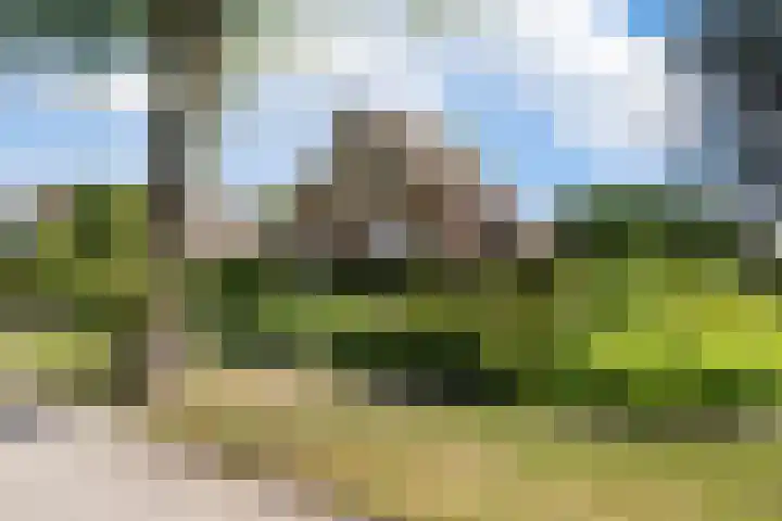 Nieuw-Amsterdamseweg 20 Schoonebeek thumbnail 6