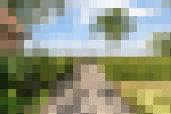 Nieuw-Amsterdamseweg 20 Schoonebeek thumbnail 7