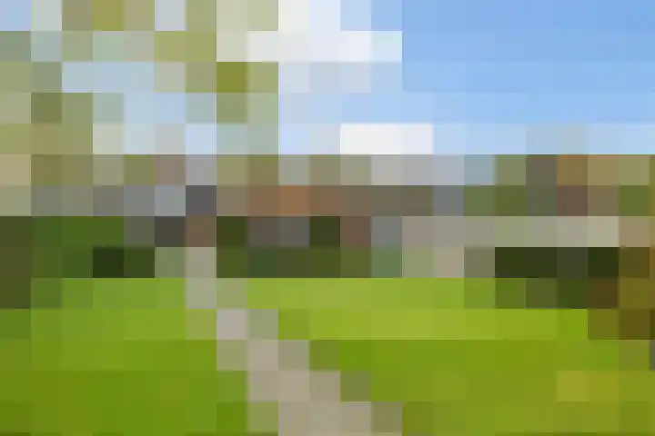 Nieuw-Amsterdamseweg 32 Schoonebeek thumbnail 10
