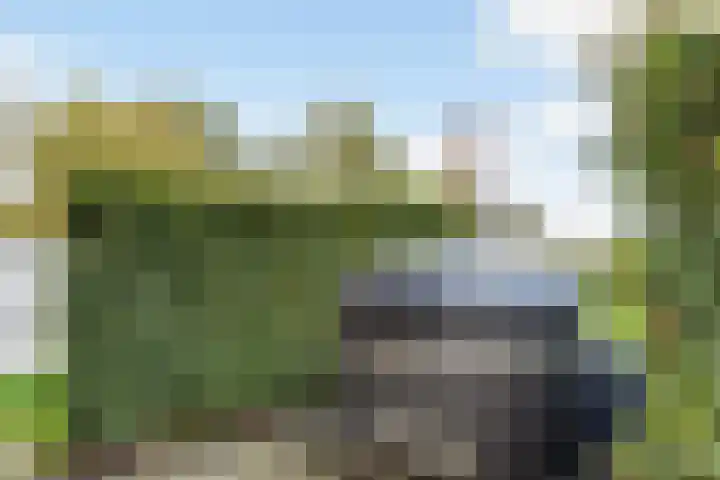 Nieuw-Amsterdamseweg 32 Schoonebeek thumbnail 11