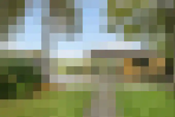 Nieuw-Amsterdamseweg 32 Schoonebeek thumbnail 12