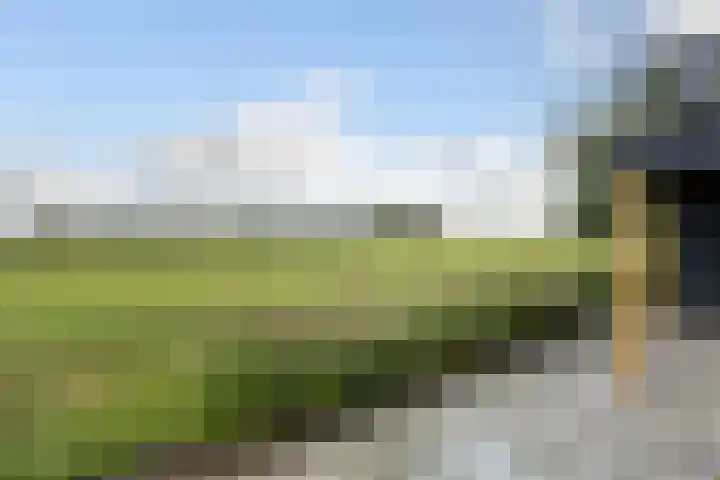 Nieuw-Amsterdamseweg 32 Schoonebeek thumbnail 14
