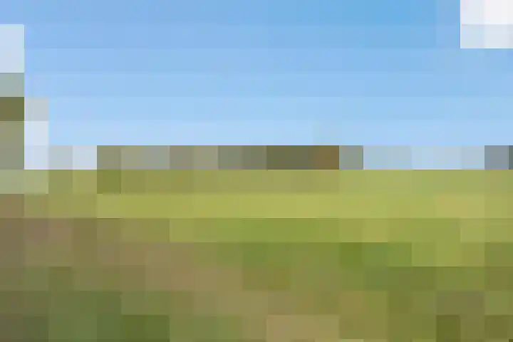 Nieuw-Amsterdamseweg 32 Schoonebeek thumbnail 15