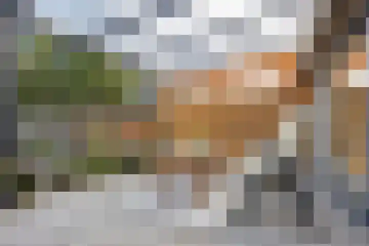 Nieuw-Amsterdamseweg 32 Schoonebeek thumbnail 23