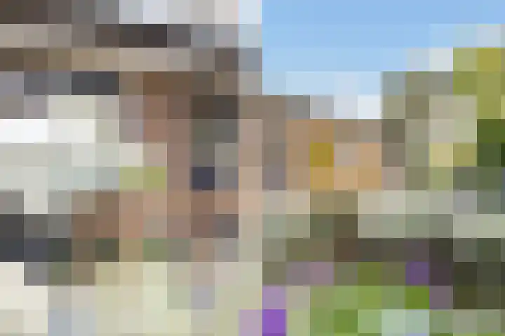 Nieuw-Amsterdamseweg 32 Schoonebeek thumbnail 24