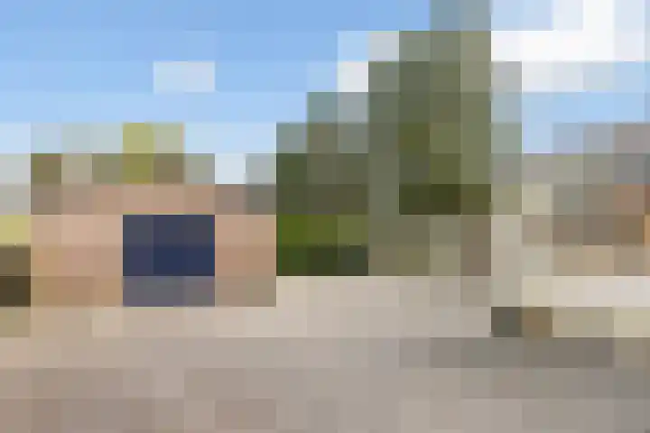 Nieuw-Amsterdamseweg 32 Schoonebeek thumbnail 42