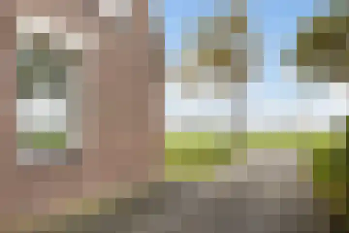 Nieuw-Amsterdamseweg 32 Schoonebeek thumbnail 48