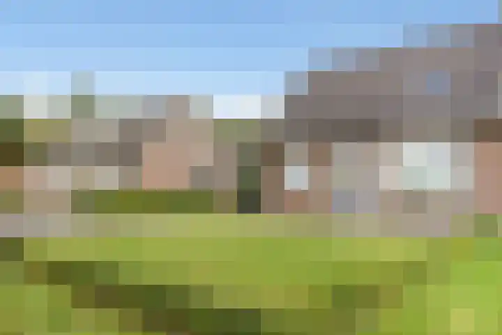 Nieuw-Amsterdamseweg 32 Schoonebeek thumbnail 50