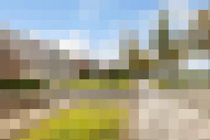 Nieuw-Amsterdamseweg 32 Schoonebeek thumbnail 51