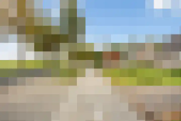 Nieuw-Amsterdamseweg 32 Schoonebeek thumbnail 52