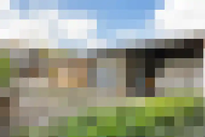 Nieuw-Amsterdamseweg 32 Schoonebeek thumbnail 8
