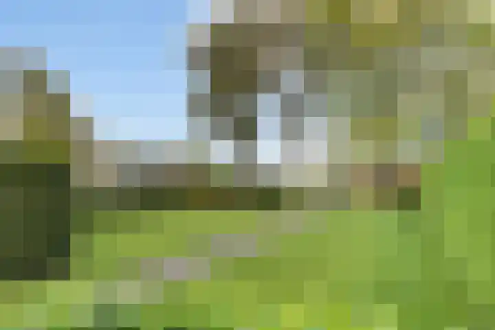 Nieuw-Amsterdamseweg 32 Schoonebeek thumbnail 9