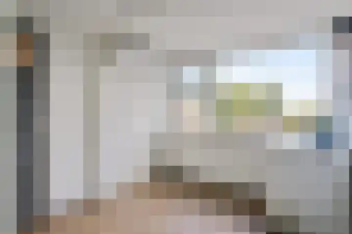 Nieuw-Amsterdamseweg 36 Schoonebeek thumbnail 19