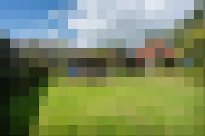 Nieuw-Amsterdamseweg 36 Schoonebeek thumbnail 28