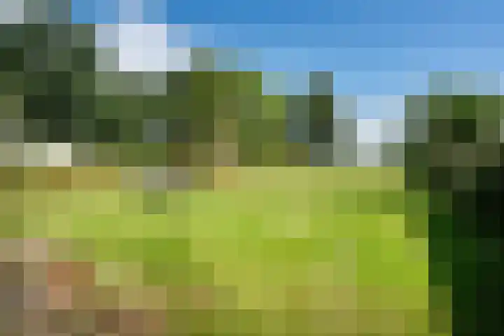Nieuw-Amsterdamseweg 36 Schoonebeek thumbnail 29