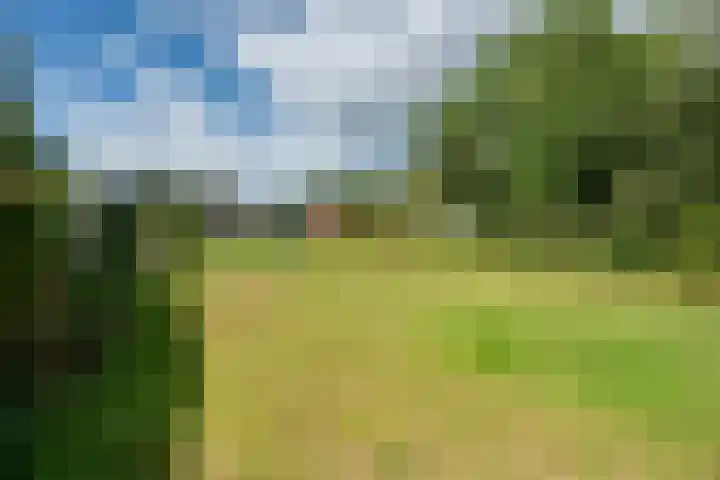 Nieuw-Amsterdamseweg 36 Schoonebeek thumbnail 30