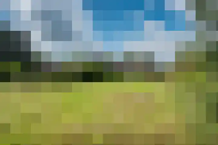 Nieuw-Amsterdamseweg 36 Schoonebeek thumbnail 31