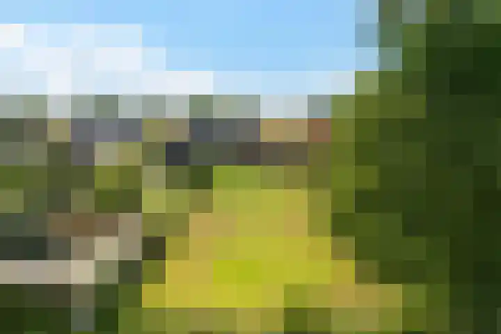 Nieuw-Amsterdamseweg 36 Schoonebeek thumbnail 33