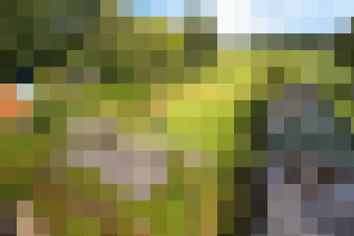 Nieuw-Amsterdamseweg 36 Schoonebeek thumbnail 34