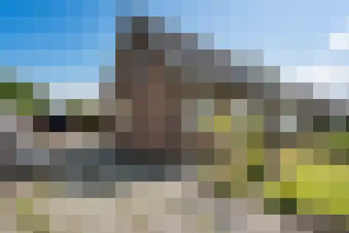 Nieuw-Amsterdamseweg 36 Schoonebeek thumbnail 35