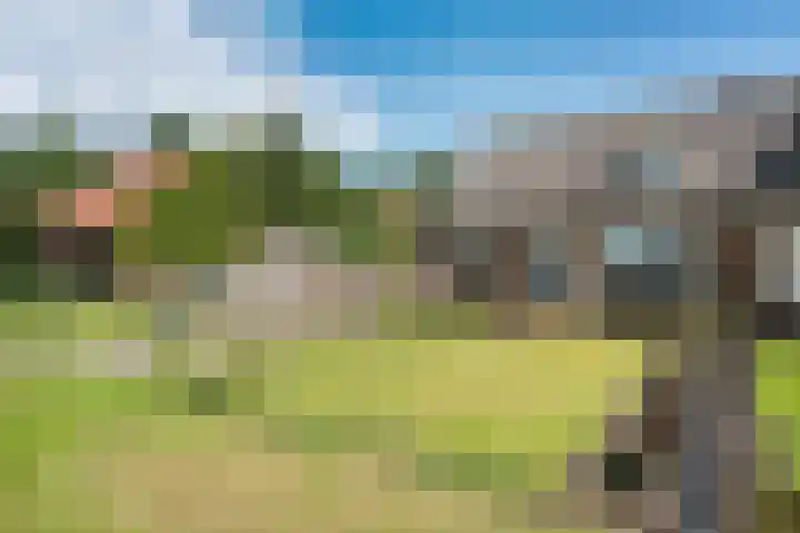 Nieuw-Amsterdamseweg 36 Schoonebeek thumbnail 36