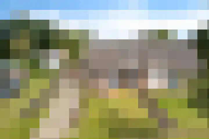 Nieuw-Amsterdamseweg 36 Schoonebeek thumbnail 37