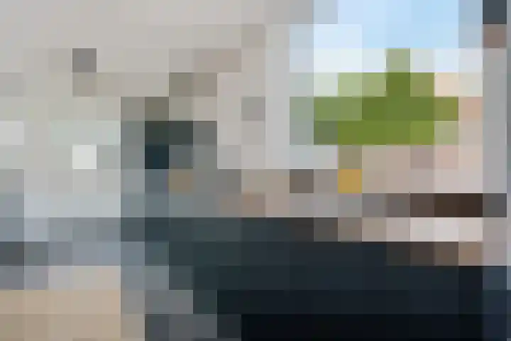 Nieuw-Amsterdamseweg 36 Schoonebeek thumbnail 4