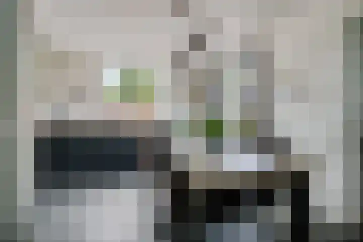 Nieuw-Amsterdamseweg 36 Schoonebeek thumbnail 5