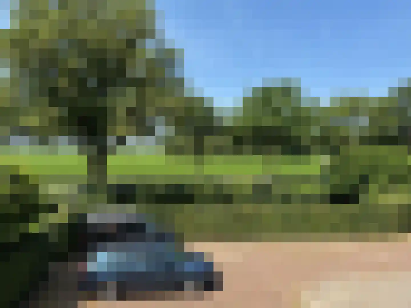 Nieuw-Amsterdamseweg 48 Schoonebeek thumbnail 20