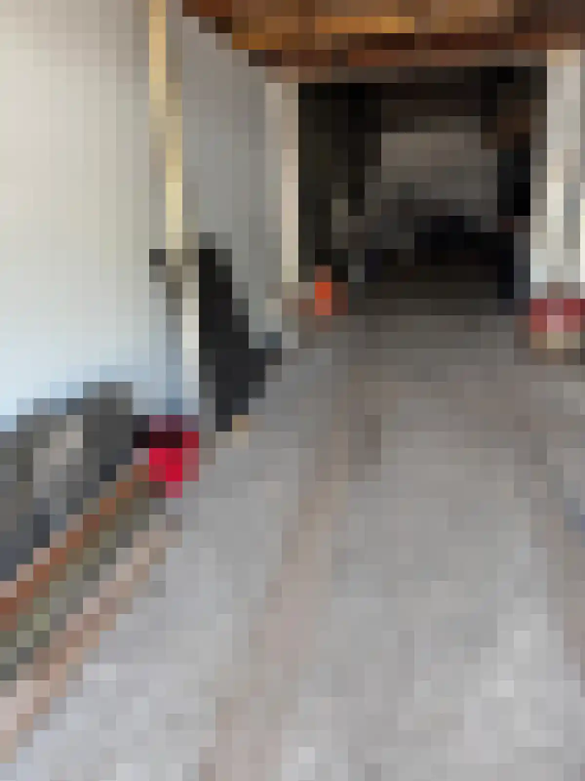 Nieuw-Amsterdamseweg 48 Schoonebeek thumbnail 49