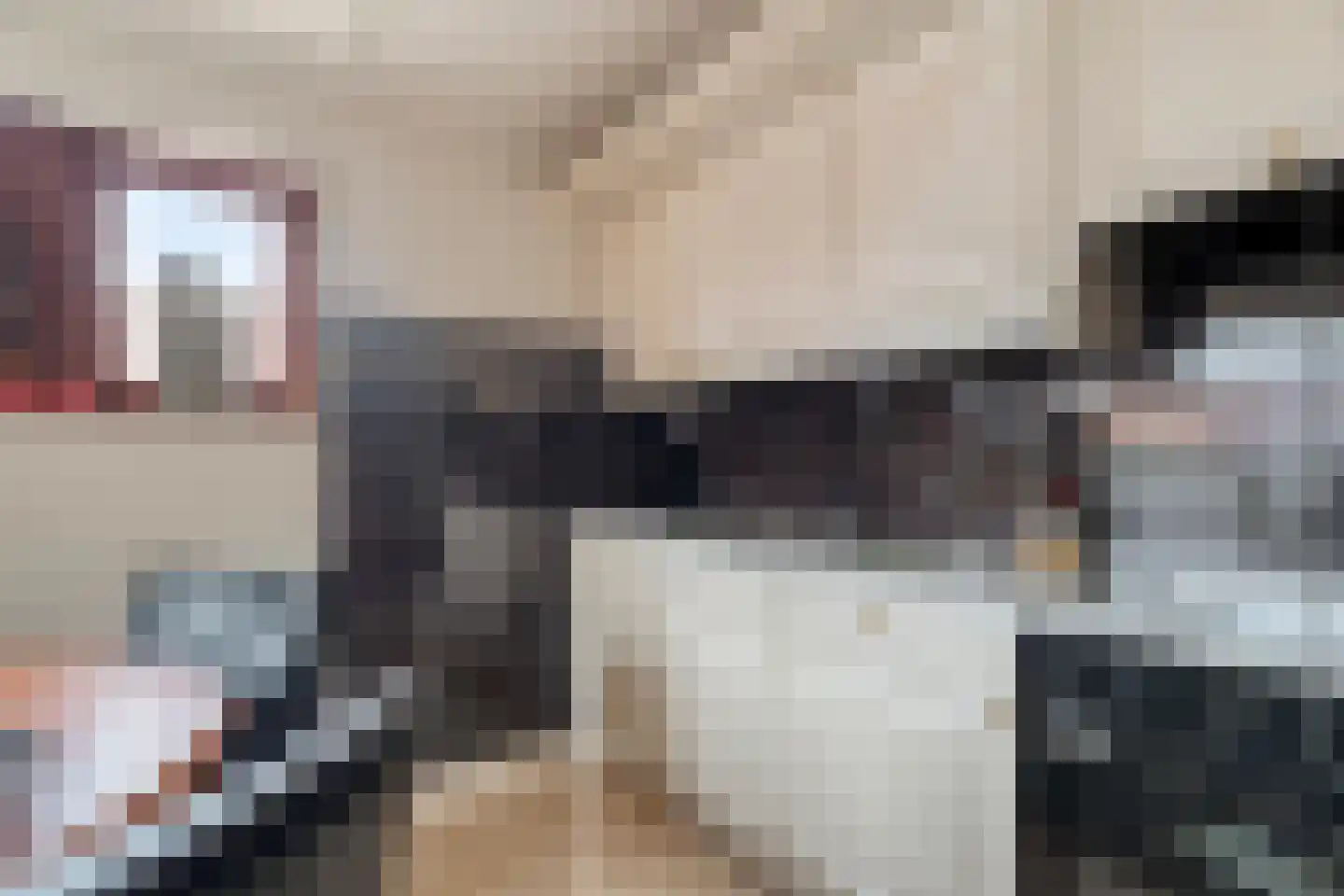 Nieuw-Amsterdamweg 7 Nunspeet thumbnail 23