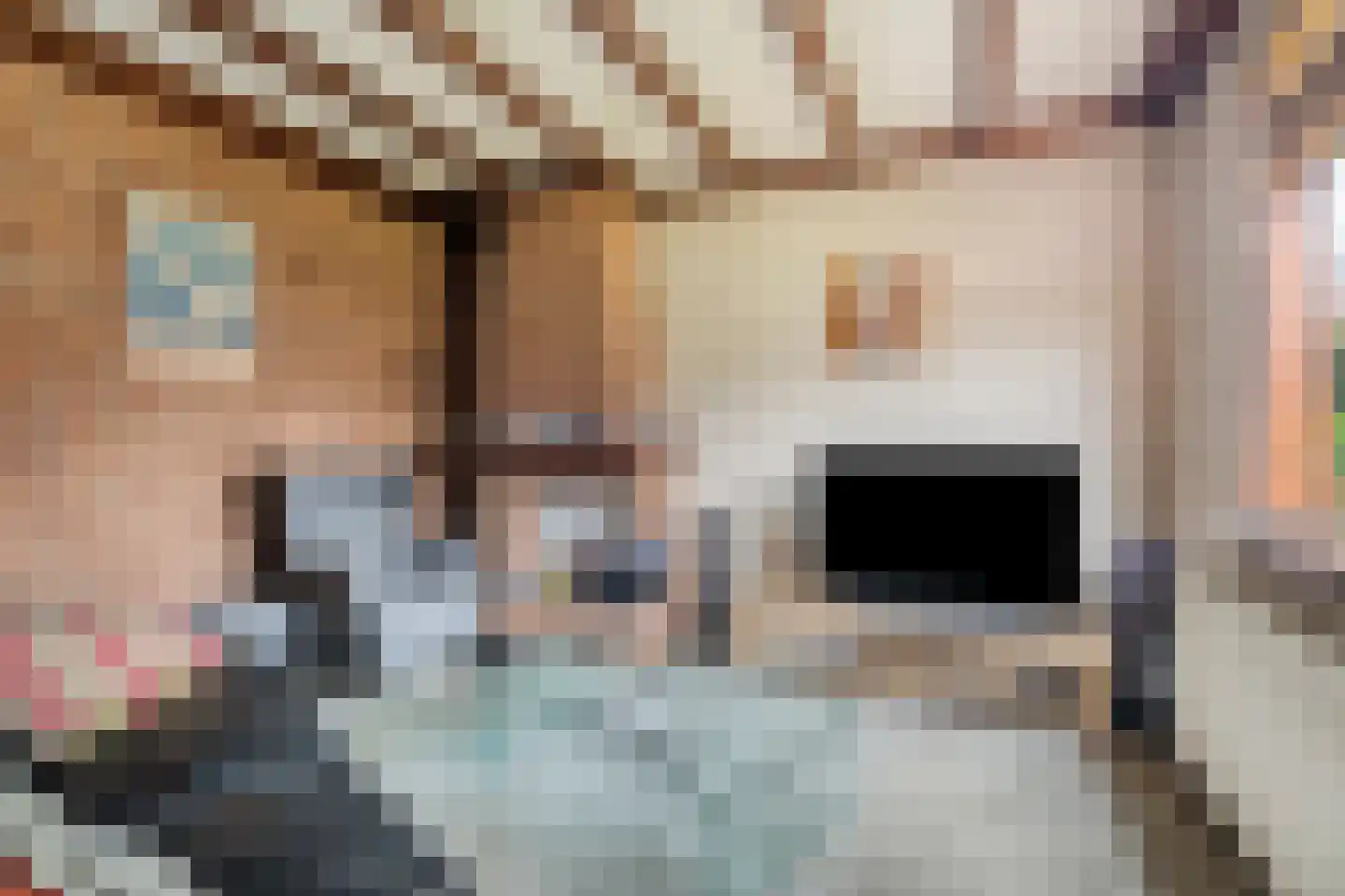 Nieuw-Amsterdamweg 7 Nunspeet thumbnail 36