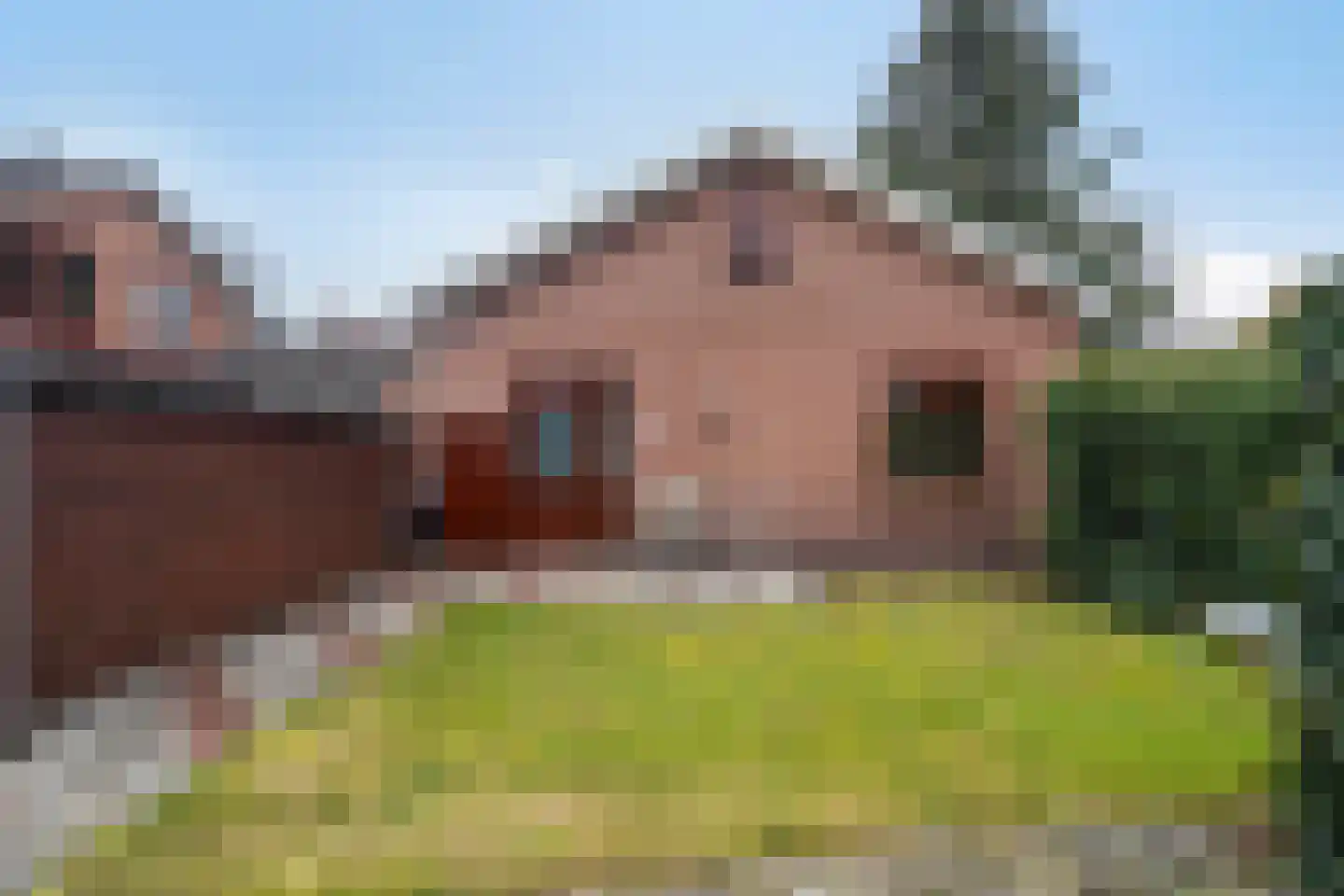 Nieuw-Amsterdamweg 7 Nunspeet thumbnail 4