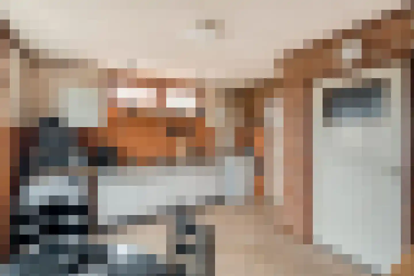 Nieuw-Amsterdamweg 7 Nunspeet thumbnail 40