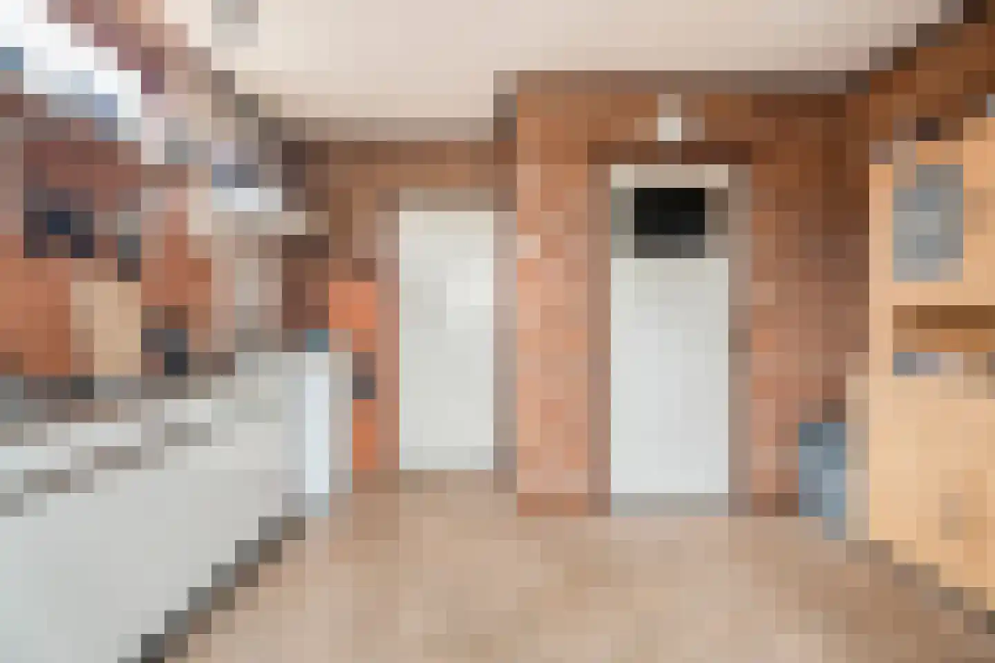 Nieuw-Amsterdamweg 7 Nunspeet thumbnail 41