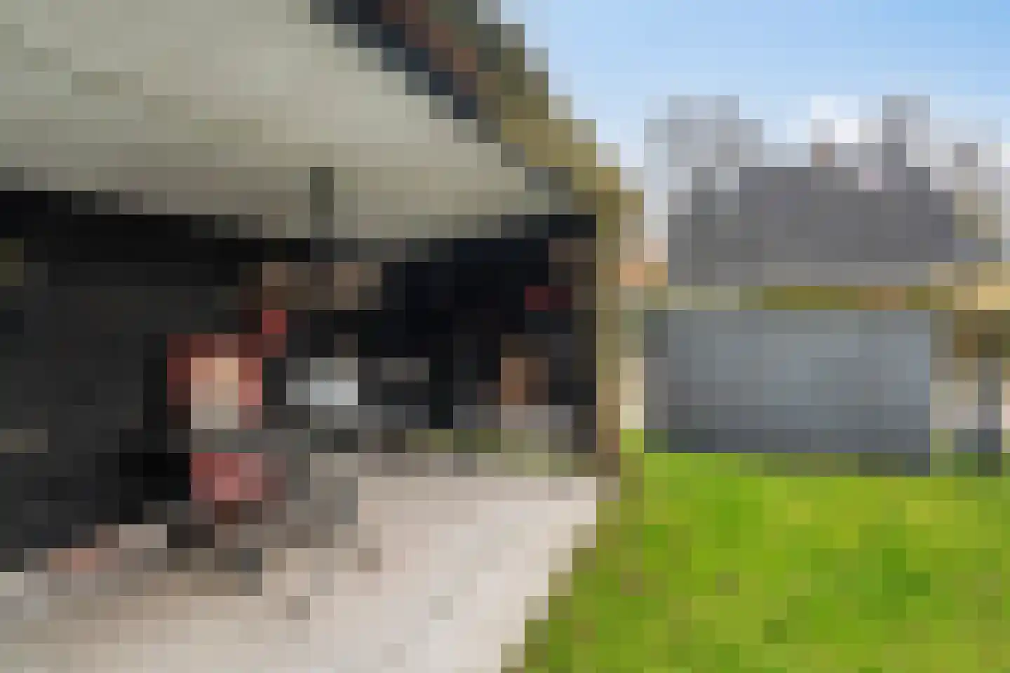 Nieuw-Amsterdamweg 7 Nunspeet thumbnail 46