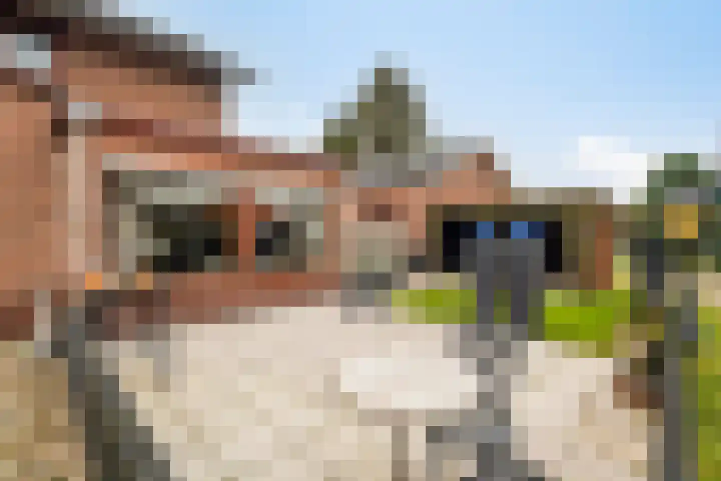 Nieuw-Amsterdamweg 7 Nunspeet thumbnail 48