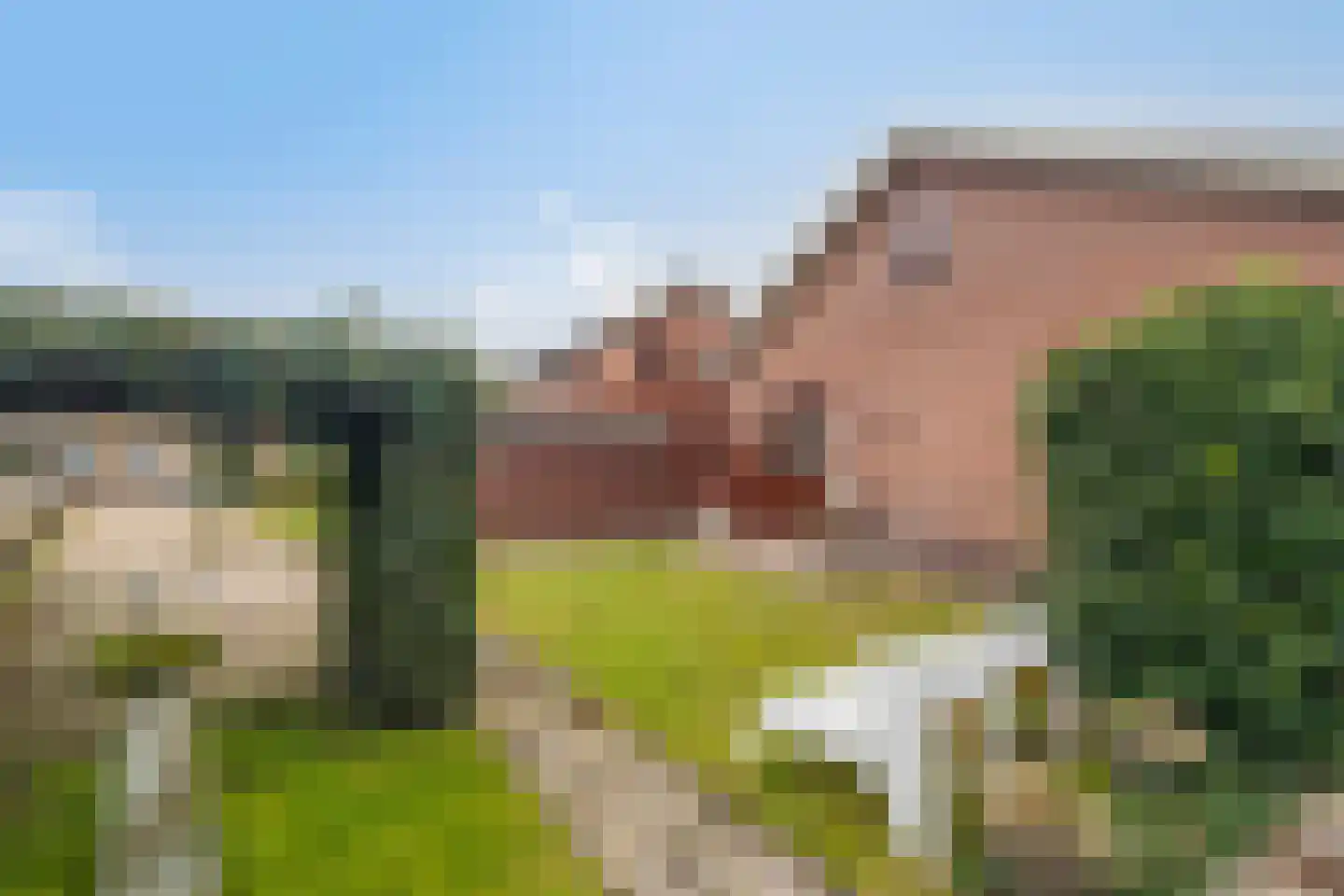 Nieuw-Amsterdamweg 7 Nunspeet thumbnail 52