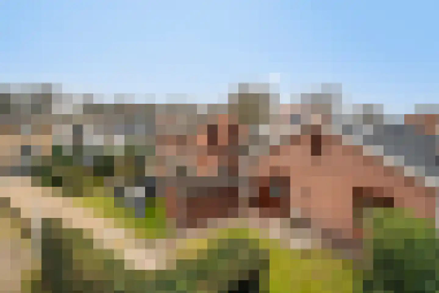 Nieuw-Amsterdamweg 7 Nunspeet thumbnail 53