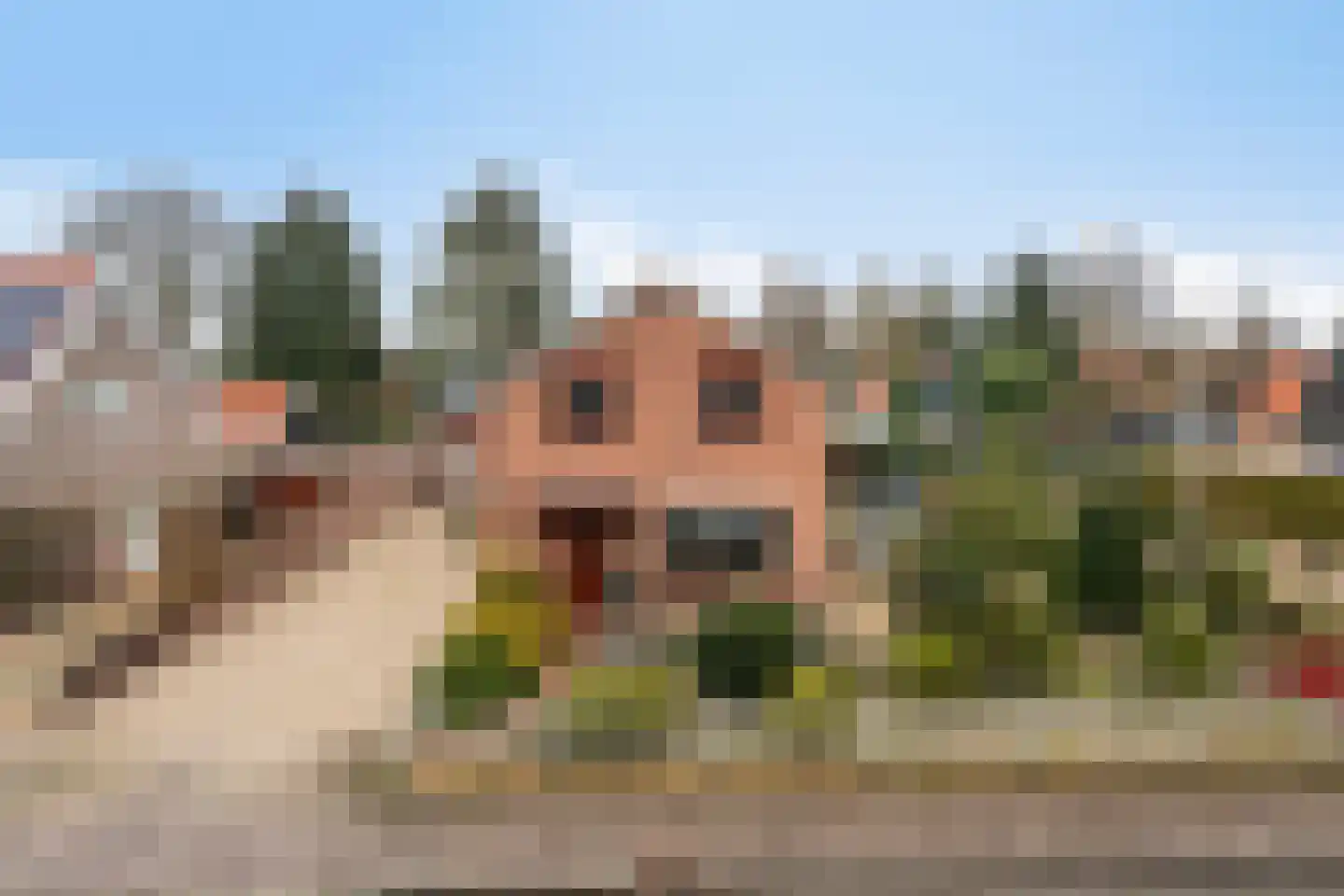 Nieuw-Amsterdamweg 7 Nunspeet thumbnail 8