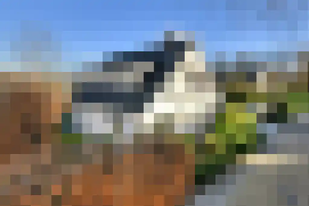 Nieuw Asterd 1 Breda foto 2