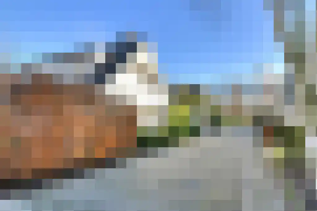 Nieuw Asterd 1 Breda thumbnail 4