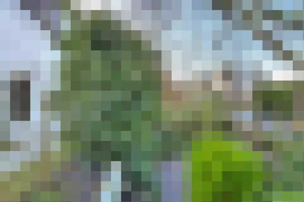 Nieuw Asterd 1 Breda thumbnail 49