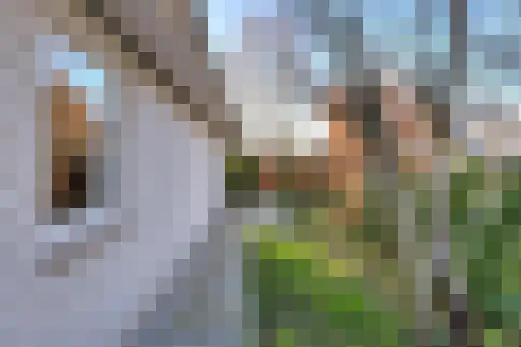Nieuw Asterd 1 Breda thumbnail 52
