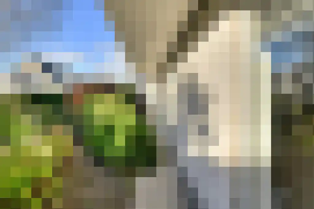 Nieuw Asterd 1 Breda thumbnail 6