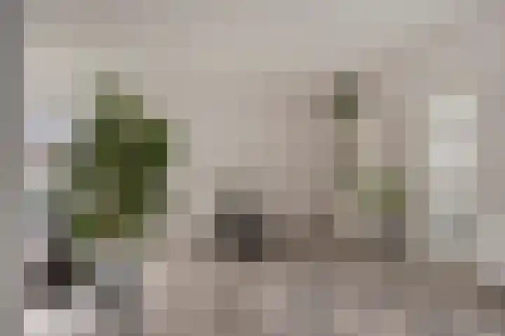 Nieuw Asterd 17 Breda thumbnail 10