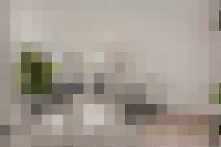 Nieuw Asterd 17 Breda thumbnail 11